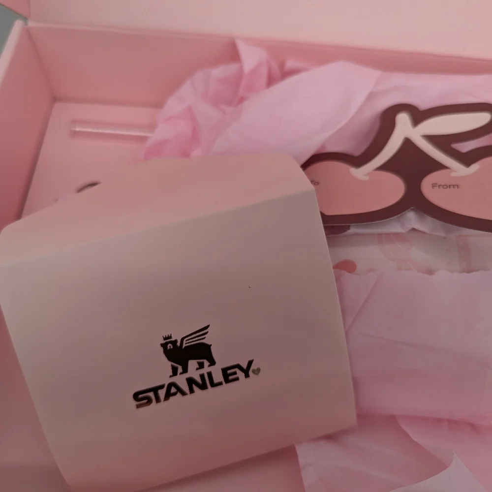 new STANLEY Protour Tumbler St Valentines gift 30 oz pink velvet cake 2026